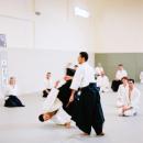 Aikido-1-34