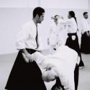 Aikido-1-7